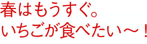 春はもうすぐ。いちごが食べたい～！