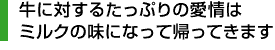 牛に対するたっぷりの愛情はミルクの味になって帰ってきます