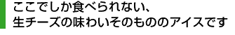 ここでしか食べられない、生チーズの味わいそのもののアイスです