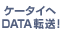 �P�[�^�C�� DATA�]���I