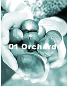 01 Orchard
