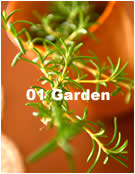 01 Garden