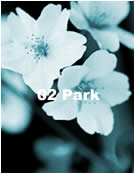 02 Park