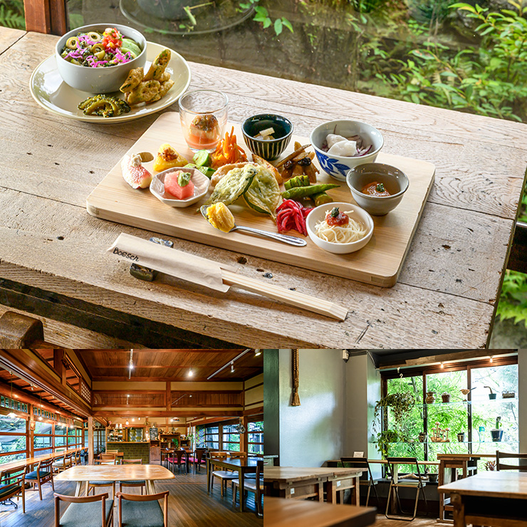 料理、店内イメージ