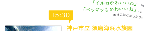 15:30　神戸市立 須磨海浜水族園　「イルカかわいいね」-m　「ペンギンもかわいいね」-ｓ　ぬけるほどまったり。