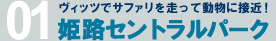 ヴィッツでサファリを走って動物に接近！姫路セントラルパーク