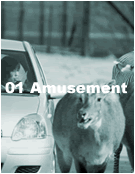 01 Amusement