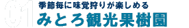 季節毎に味覚狩りが楽しめる みとろ観光果樹園