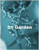 01 Garden