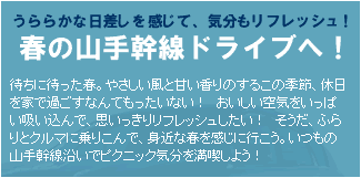 うららかな日差しを感じて、気分もリフレッシュ！春の山手幹線ドライブへ！