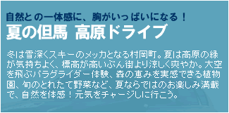 自然との一体感に胸がいっぱいになる！夏の但馬 高原ドライブ