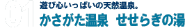 遊び心いっぱいの天然温泉。かさがた温泉 せせらぎの湯