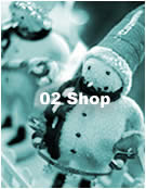 02 Shop