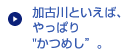 加古川といえば、やっぱり“かつめし”。