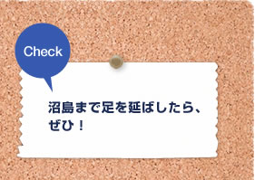 Check　沼島まで足を延ばしたら、ぜひ！