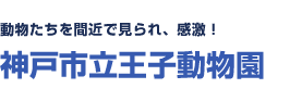 動物たちを間近で見られ、感激 神戸市立王子動物園