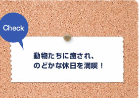 Check　動物たちに癒され、のどかな休日を満喫！