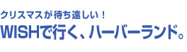 クリスマスが待ち遠しい！WISHで行く、ハーバーランド。