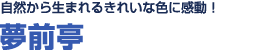 自然から生まれる<br>きれいな色に感動！！