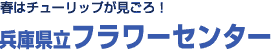 春はチューリップが見ごろ♪