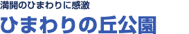 満開のひまわりに感激！